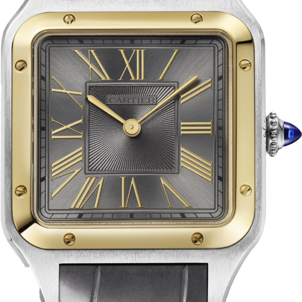 Buy Cartier Santos-Dumont Large W2SA0028 Wrist Watch Online