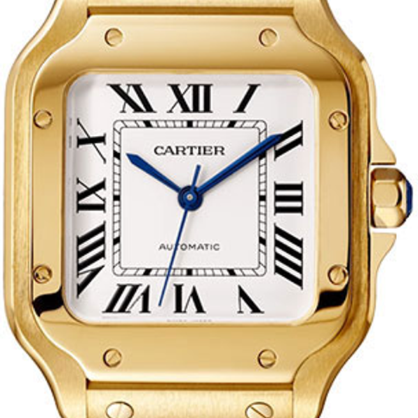 Buy Cartier Santos Medium WGSA0030 Wrist Watch Online