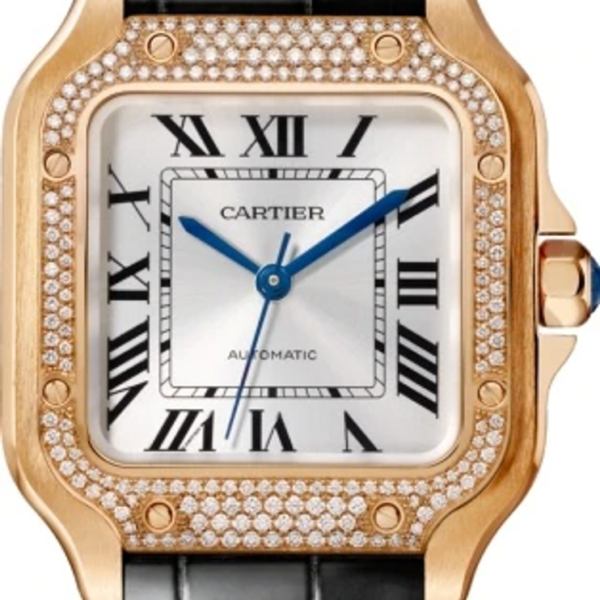 Buy Cartier Santos Medium WJSA0012 Wrist Watch Online