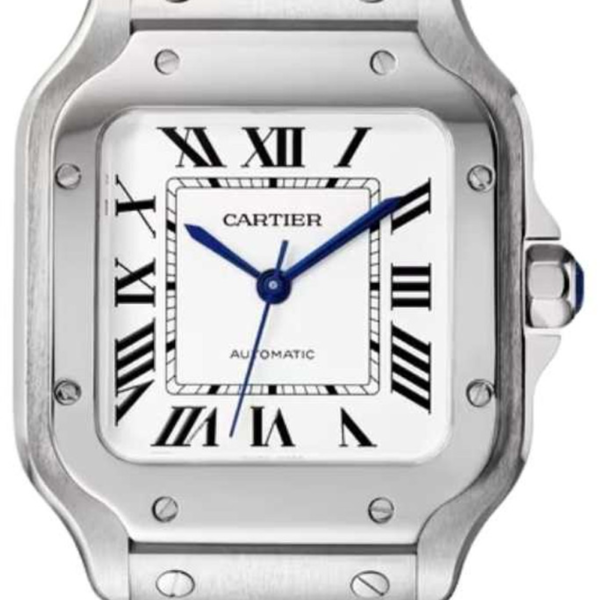 Buy Cartier Santos Medium WSSA0029 Wrist Watch Online