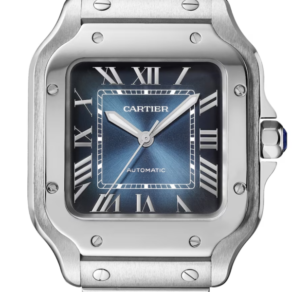 Buy Cartier Santos Medium WSSA0063 Wrist Watch Online