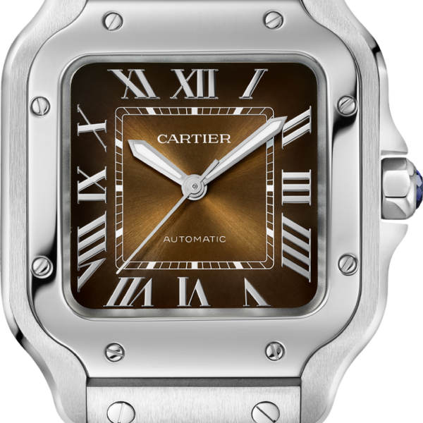 Buy Cartier Santos Medium WSSA0065 Wrist Watch Online